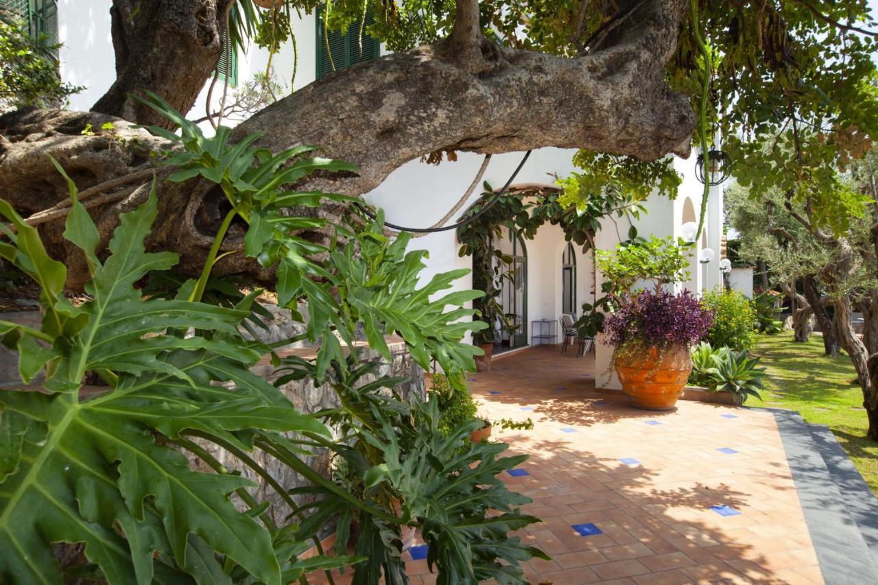 Amore Rentals - Villa Lo Scoglio Positano Kültér fotó